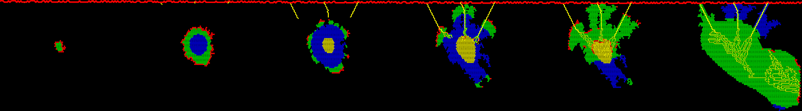 Simulation de tumeur avec angiogénèse